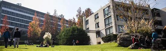 CAMPUS CAMPUS