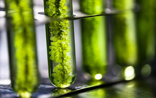 Universidad Abierta: Bootcamp en Ciencias de la Tierra y Biotecnología