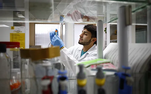 Descubre la Investigación en U.Mayor- Tours Científicos Guiados