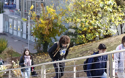 Prepárate para tu 1° año Universidad