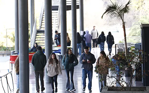 Descubre la Vida Universitaria